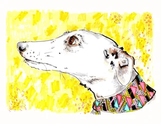 Silvertips El galgo, 2012